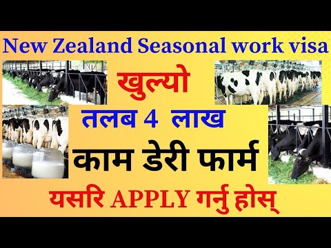 New Zealand Seasonal Work Visa 2024 in Nepal | How To Apply For seasonal work visa 2024 in nepal