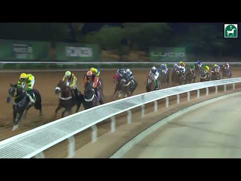 RIYADH RACING SEASON MEETING NO 51 RACE NO 6