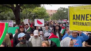 ''Free, Free, Free Palestine!'' Protest for Palestine in Austin, Texas, USA