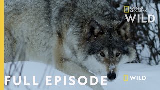 Land of Ice and Snow (Full Episode) | Wild Nordic