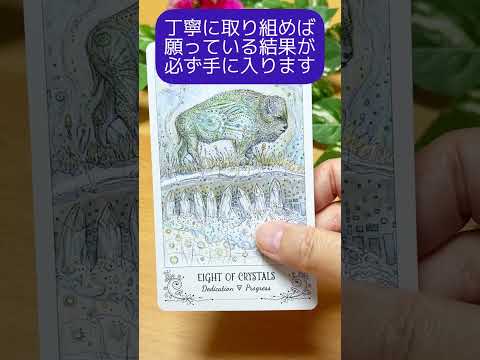 【タロット】🏵今のあなたに必要な一言メッセージ💌🌈🔮