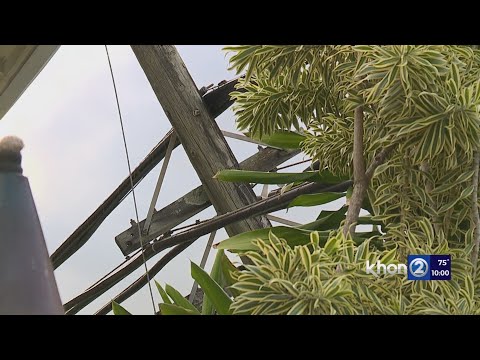 7 downed poles close road in Kailua