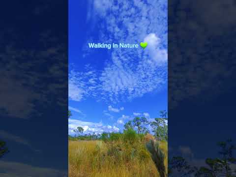 Walking in Nature 💚 beautiful sky  #natureslovers  #beautifulsky #beautifulnaturevideo #short