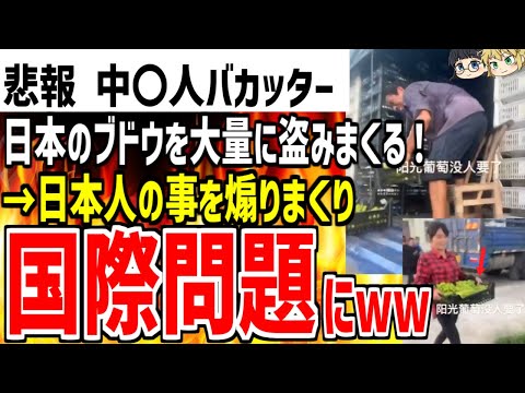 【中〇人バカッター】日本の果物を盗みまくる動画を投稿して大炎上！さらに日本人を煽りまくり国際問題にも...!?【ゆっくり解説】