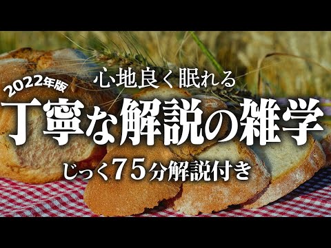 【睡眠導入】丁寧な解説の雑学【リラックス】いつもより深い睡眠を♪