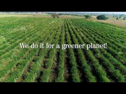 Everything we do...We do it for a greener planet! | Planet Green