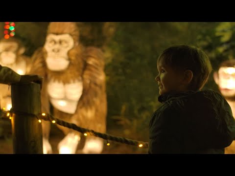 Experience TXU Energy presents Zoo Lights