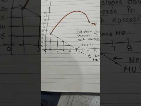 Consumer equilibrium ,law of diminishing marginal utility #cbsenotes  #cbseboard #learnwithme