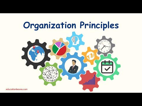 Organization principles | Principles of Organization