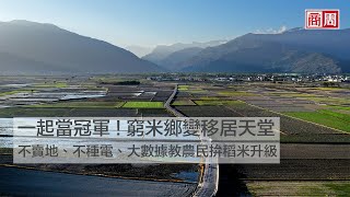 【商周ESG】一起當冠軍！窮米鄉變移居天堂：他們不賣地、不種電、大數據教農民拚稻米升級