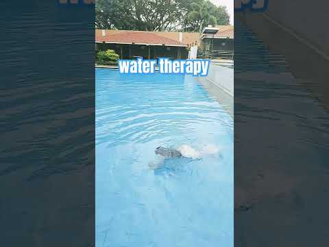 good vibration water therapy 😘🙏🏼