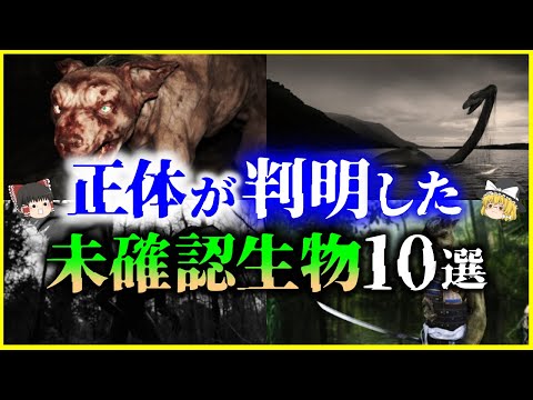 【ゆっくり解説】河童の正体エグすぎ…正体が判明した「未確認生物UMA」10選を解説/日本の静岡で発見されたゴラム⁉️