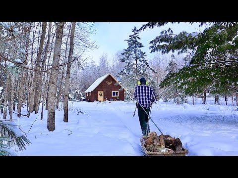 Typical Cold Winter Day At The Off Grid Cabin: Homestead Updates, Redneck Truck Camper