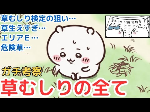 【ちいかわガチ考察】草むしりの全てを解き明かすど