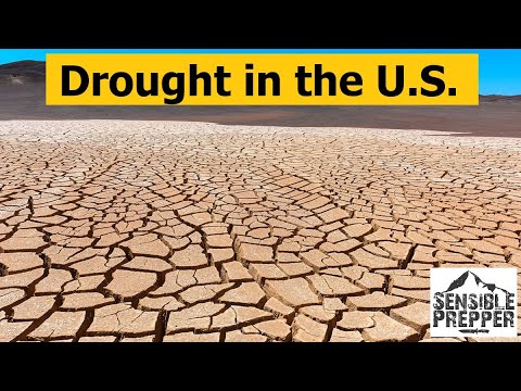 Drought in the U.S.! Things to Consider