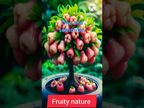 How to  grafting apple sugar #shorts #short #garden #forming #grafting #plants #harvesting #planting