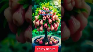 How to  grafting apple sugar #shorts #short #garden #forming #grafting #plants #harvesting #planting