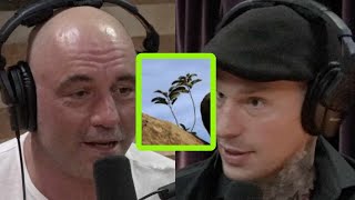 Joe Rogan on Why You Need Hardship to Thrive