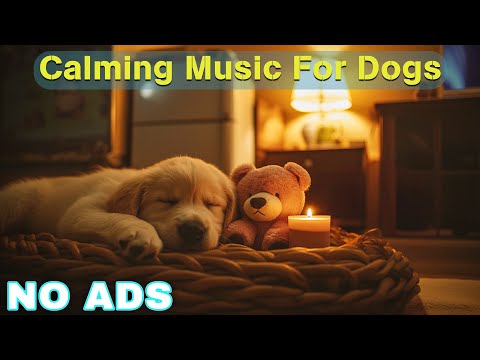 12 Hours of Healing Dog Music 🐶 Soothing Music for Deep Relaxation 🐕 Anti - Anxiety Videos No Ads