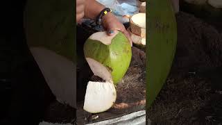 SUPER AMAZING COCONUT CUTTING SKILLS Asmr #cuttingskills #streetfood #youtubeshorts @GatchieJr33