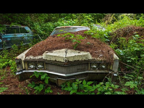 360° Tour of an Abandoned Car Junkyard in Georgia