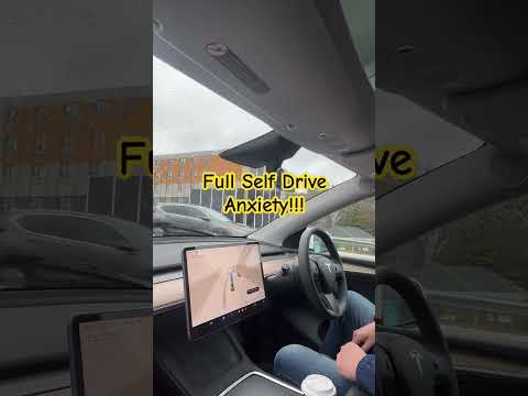 BREAKING!!! Tesla Full Self Drive Anxiety!!!  #TeslaTok #Tesla #FSD #FullSelfDrive