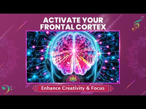 Activate Your Frontal Cortex - Enhance Creativity, Focus & Mental Clarity - 60 Hz Binaural Beats