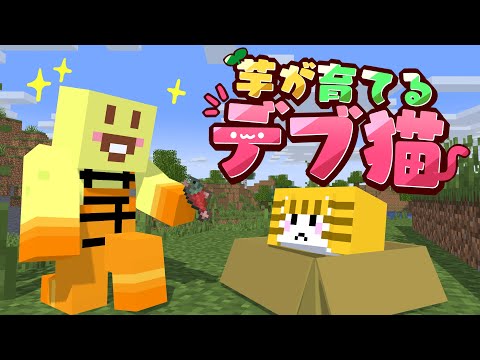 【マイクラ】イモがデブ猫を育てます生活ｗｗｗPart1【からつけあっきぃ/AMPTAK】