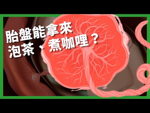 讓「廢棄物」不再廢的魔法？ 胎盤能拿來泡茶、煮咖哩？ 「生物消化器」如何解決能源危機？ 【TODAY 看世界｜小發明大革命】