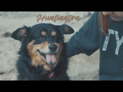 HUNTINGTON DOG BEACH // SONY A6500 // SUNDAY FUNDAY