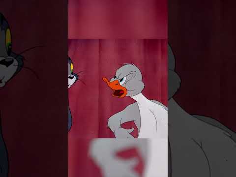 Messed with the wrong duck #TomandJerry #ClassicCartoons #shorts Watch more on Cartoonito