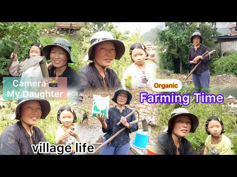 Dirang Diary|| Part-5 of my village life||Farming day#dailyvlog #farmlife #nature #gardening