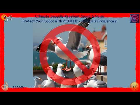 🐦 Ultimate Seagulls Repellent Sound & Noise: Protect Your Space