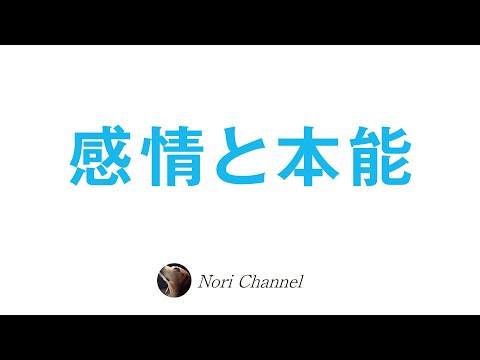 人は感動体験を求めている☆感情と本能のお話♪