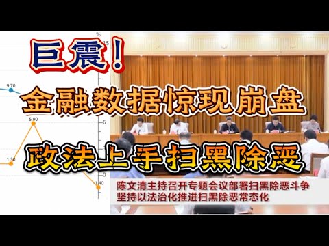 震惊：金融数据惊现崩盘 政法上手扫黑除恶