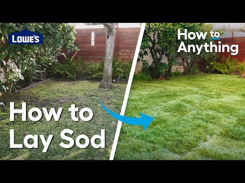 How to Lay Sod | How To Anything