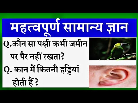 General Knowledge Most Important Question | Gk Question | Samanya Gyan | Gk In Hindi | Gk Right