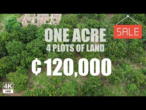 One Acre - 4 Plots of Land For Sale Ȼ120000 at Asunten Sunyani Ghana 4K