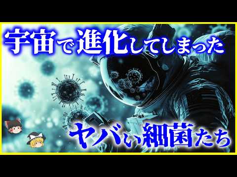 【ゆっくり解説】近年ISSで発見…宇宙で進化してしまったヤバい「細菌」とは？を解説/恐るべき耐性を身に着けた細菌と未知の細菌