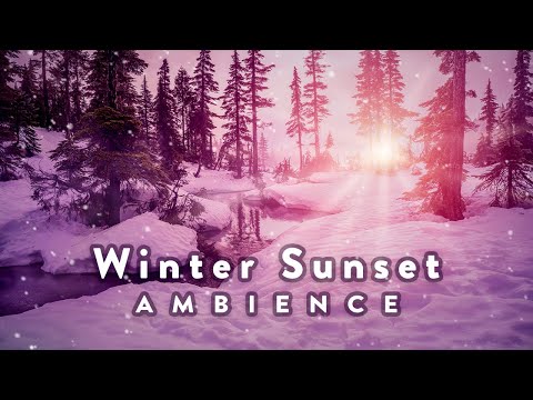 Winter Sunset Ambience: gentle stream, forest birds, & snowy footstep sounds for relaxation