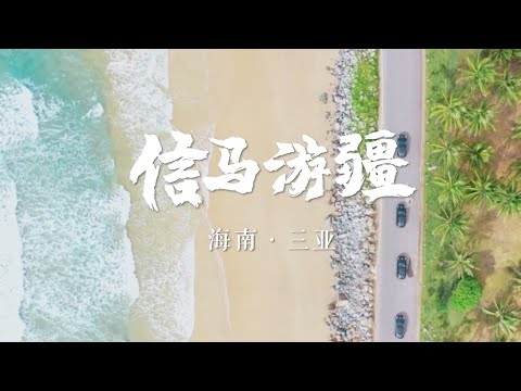 “候鸟”式青年：定期逃离城市，去海边充电