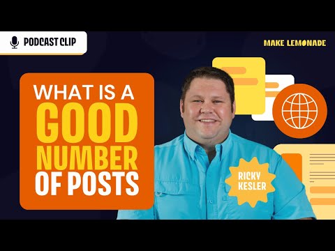 What is a good number of posts? | Podcast Clip