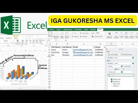 IGA GUKORESHA MICROSOFT EXCEL - PART 1