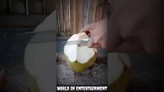 American Street Food - young coconut cutting skills 35 #streetfood #coconut #cuttingskills