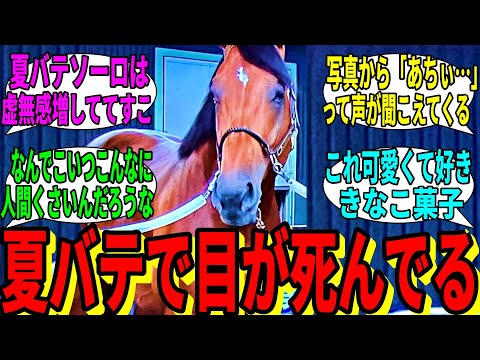 【競馬の反応集】「最新のウシュバテソーロさんがこちら」に対する視聴者の反応集