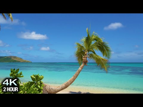 “Blue Lagoon Vista” 4K 2 Hour Nature Scene: Tropical Beach, Palm Tree, Blue Sky & White Sand - Fiji