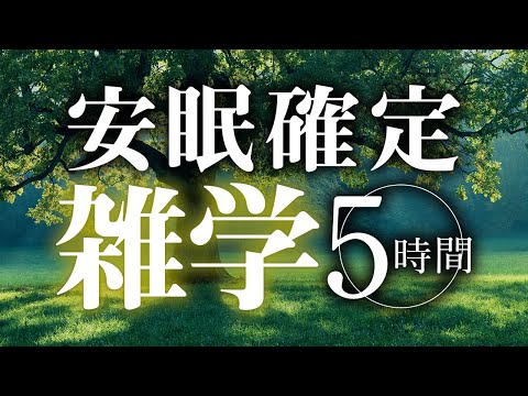 【睡眠導入】安眠確定雑学5時間【合成音声】