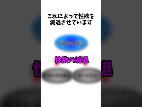 【1分解説】賢者タイムを1分で解説！#shorts #解説 #雑学