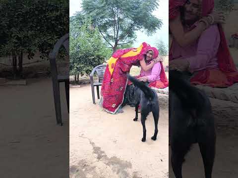 Saas mili mummy jaisi #short #shorts #youtube #trending #dog #comedy #funny #shortvideo #reels #new