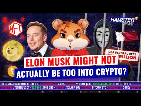 The US debt hits $35 trillion, Qatar reverses Bitcoin ban, Musk on crypto, NFTs crash⚡️Hamster News